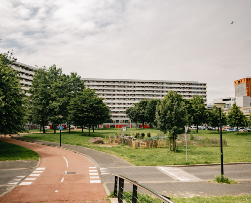 stichtingwinwerktstockphoto-16